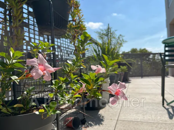 Vente appartement 4 Pièce(s) 
