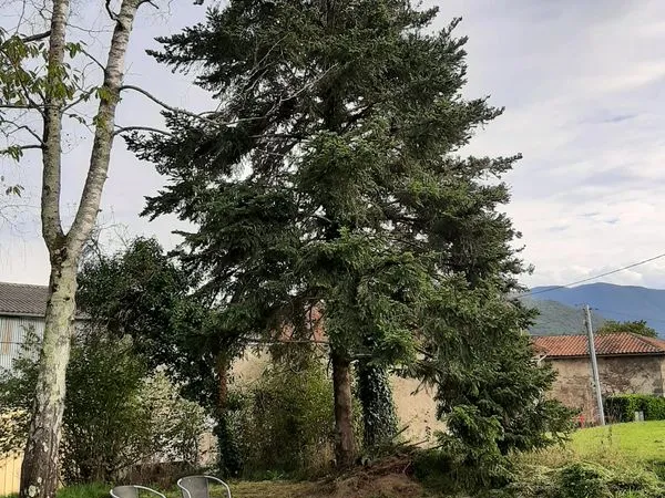 Bâtisse en pierre partiellement rénovée 