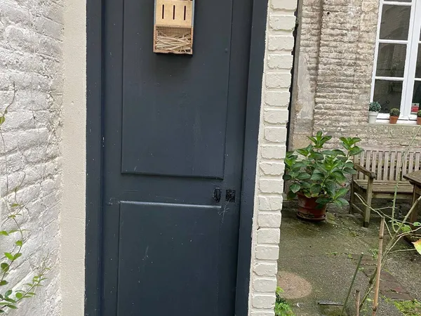 Maison 1 pièce 20 m² 