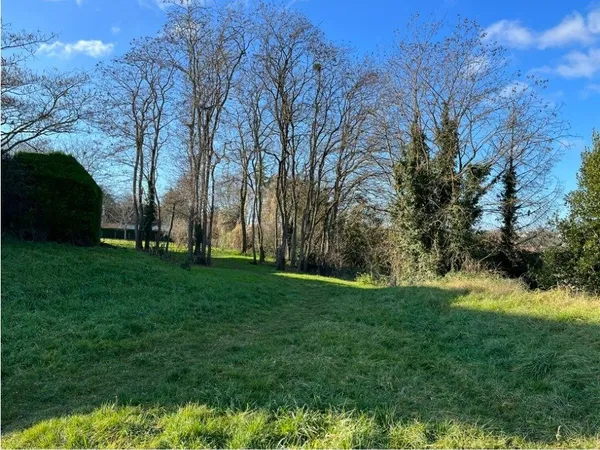 Terrain 321 m² 