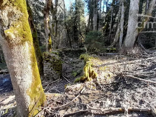 Terrain 64000 m² Montendry 