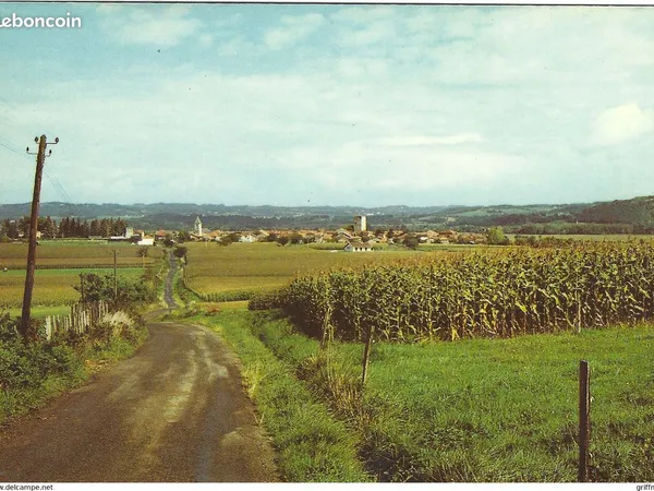Terrain Agricole 