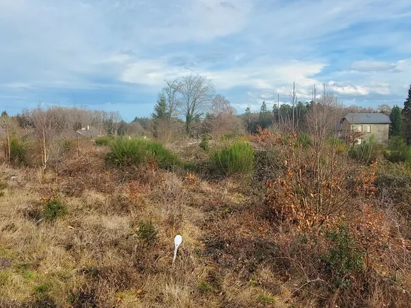 Terrain 2960 m² Chirac-Bellevue 