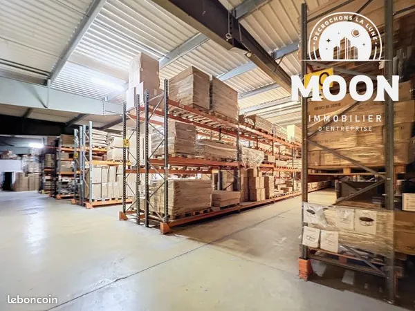 Local 2960 m² Castres 