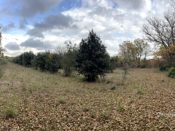 Terrain constructible de 5 892 m2 à Issirac 
