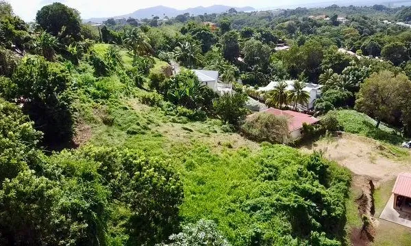 Terrain en individuel 1135 m² 