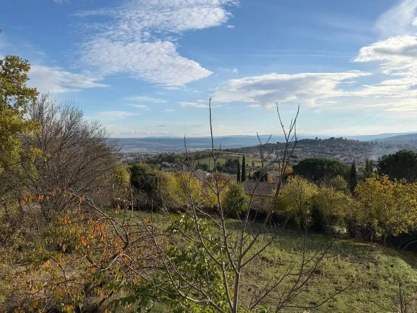 Sur les hauteurs de Manosque 