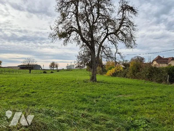 Terrain 7064 m² 