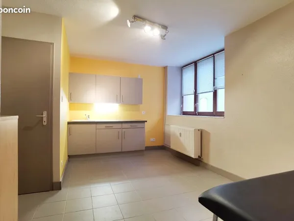 Local 30 m² Neuf-Brisach 