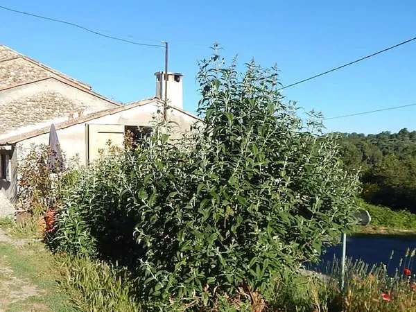 Jolie petite maison avec terrasse et cafoutch 
