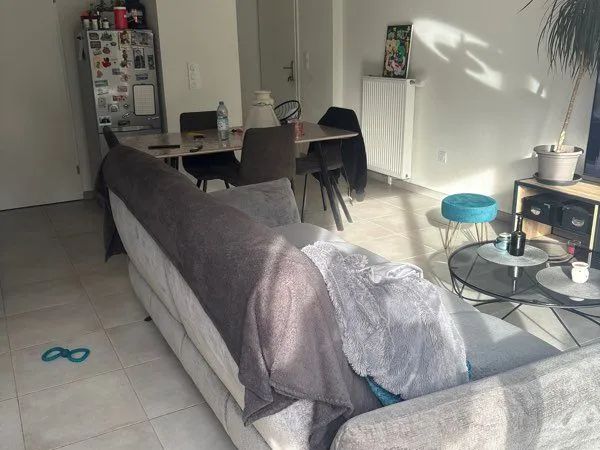Colocation dans une maison 