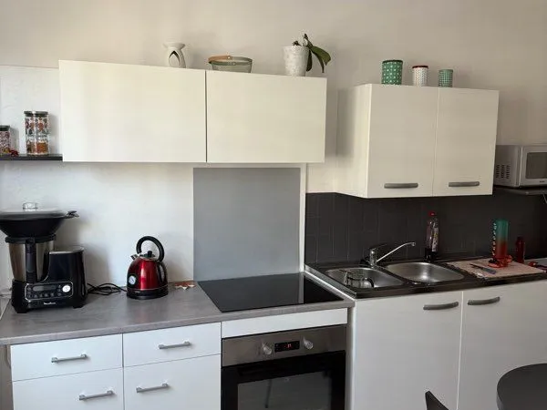 F2 rénové 46m2 
