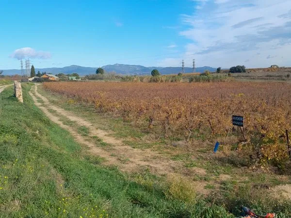 Vend terrain agricole/loisir 