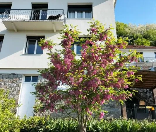 Maison 6 pièces 