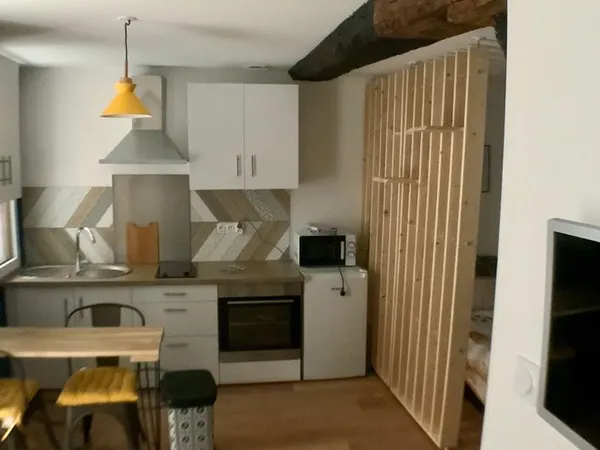Studio 25m2 entièrement rénové 