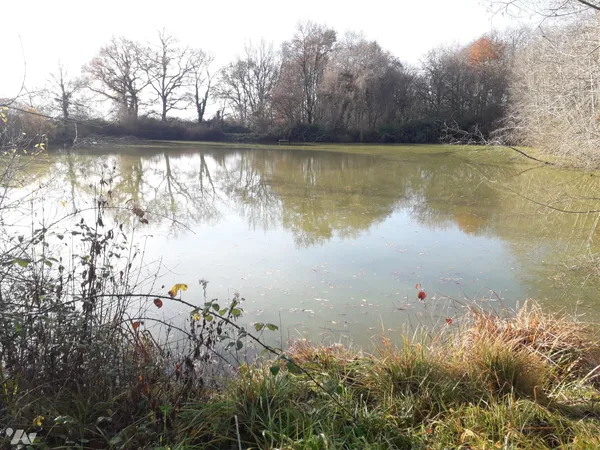 Terrain 5640 m² 