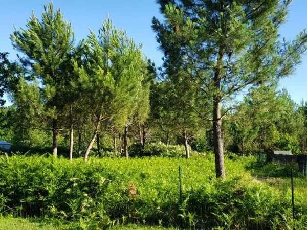 Terrain 730 m² Carcans 
