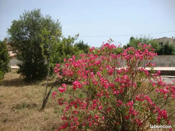 Terrain 300 m² La Crau 