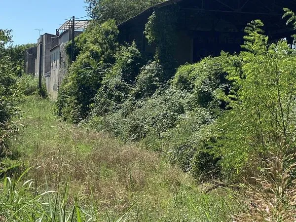 Propriété 3 pièces 62 m² 