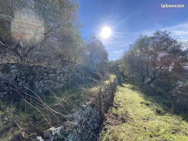 Terrain 5753 m² Drap 