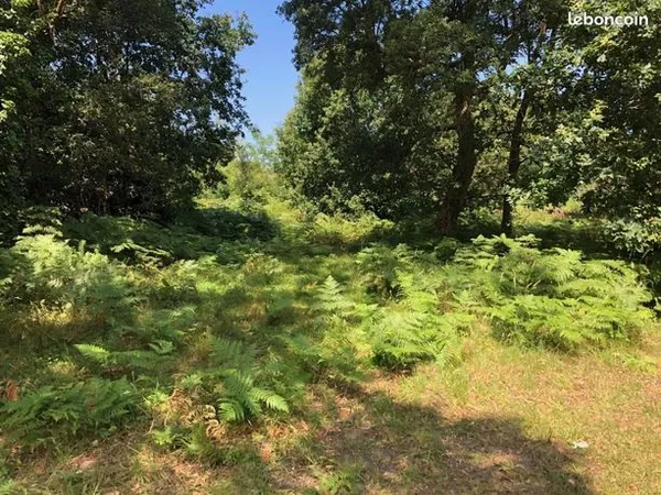 Terrain 500 m² 