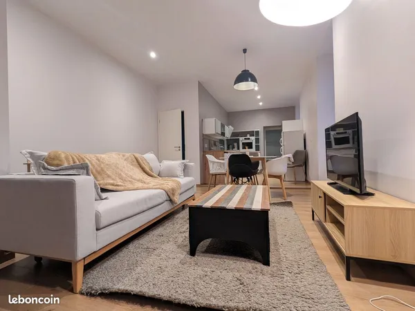 T2 meublé 58 m² refait à neuf • Vieille Ville de Belfort 