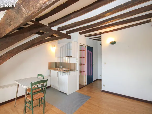 Appartement 1 pièce 19 m² 