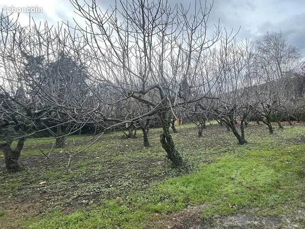 Terrain 843 m² SAUVETERRE 