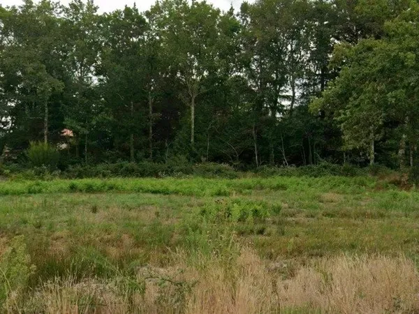 Terrain 873 m² 