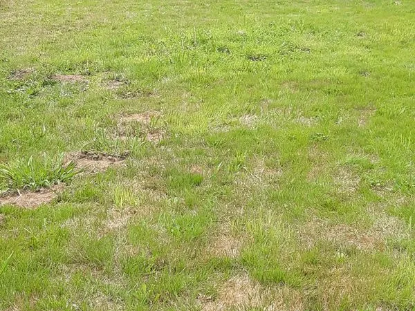 Terrain constructible 600m2 