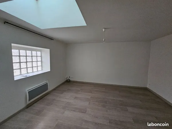 F1 40m2 NANCY CENTRE AVEC KITCHENETTE 