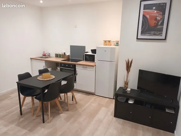 Appartement T2 37 m2 (Hyper centre Saint Etienne) 