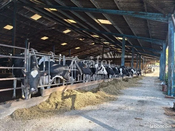 Ferme 215 m² Castex 