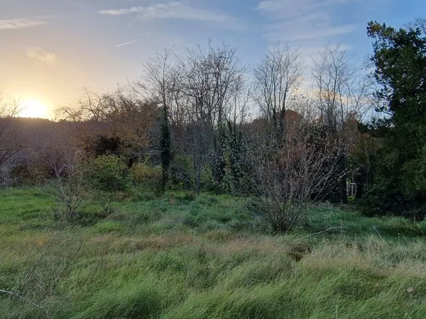 Terrain 1500 m² ONCY SUR ECOLE 
