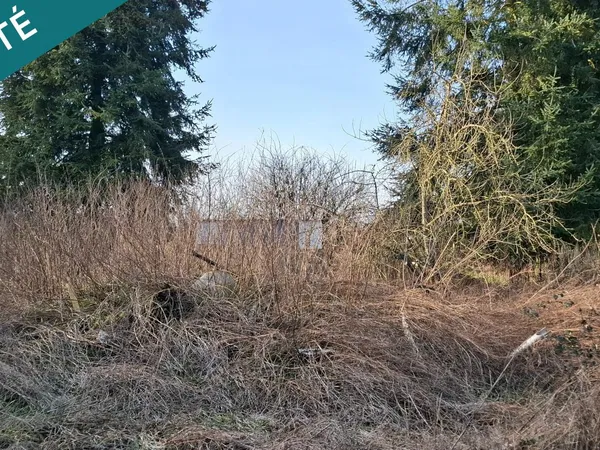 bâtisse avec hangar et remise sur terrain de 1112 m2 
