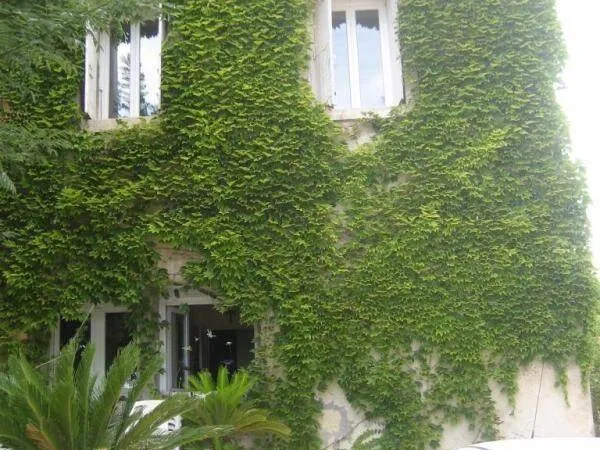 Appartement 3 pièces 75 m² 