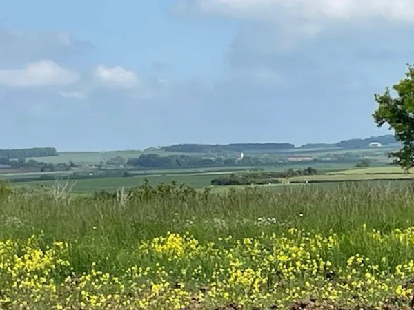 Propriété 