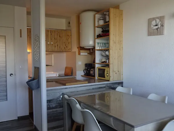STUDIO RENOVE AVEC CELLIER/ LE PLA D'ADET 