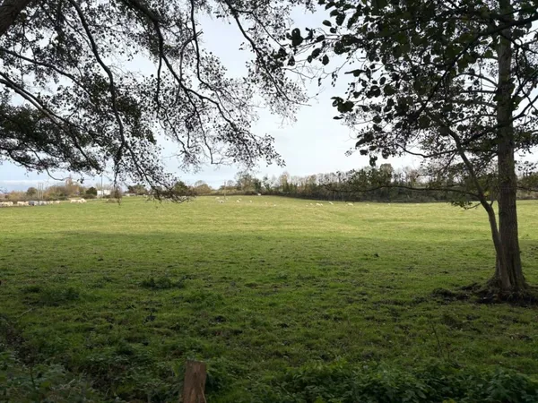 Terrain 505 m² 