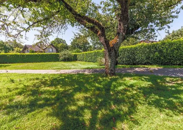 Terrain 699 m² 