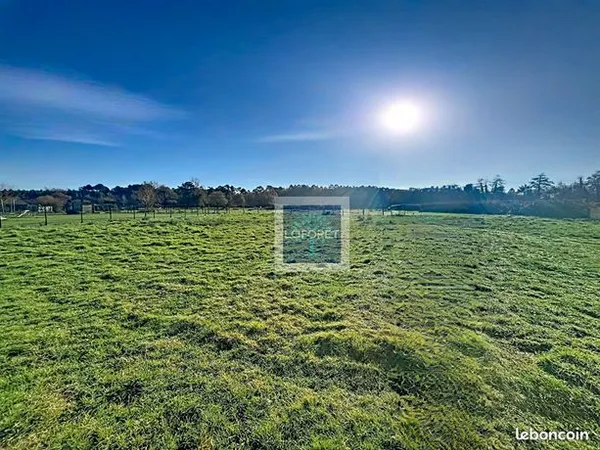 Terrain 17590 m² 