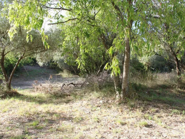 Propriété 