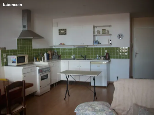 Appartement grand T2 60 m2 