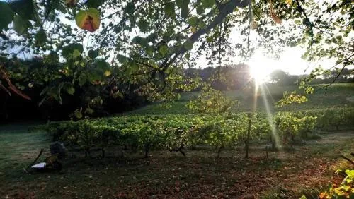 Terrain viabilisé de 800m2 à POMPIGNAC 