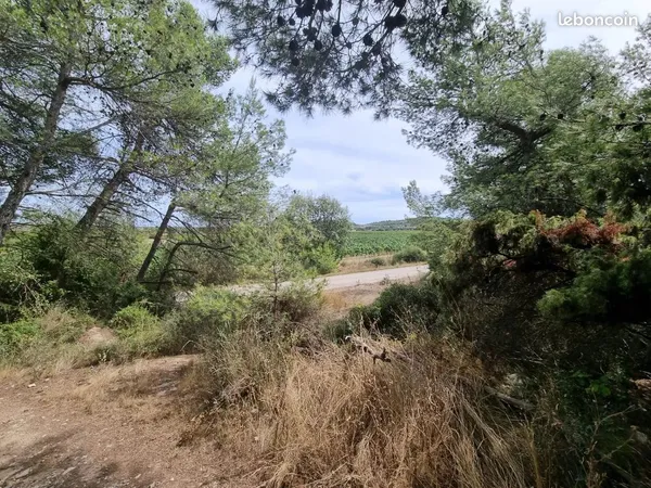 Terrain 2130 m² Pouzols-Minervois 