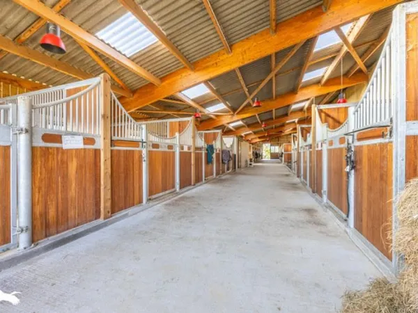 Propriété Agricole de 3 pièces principales 
