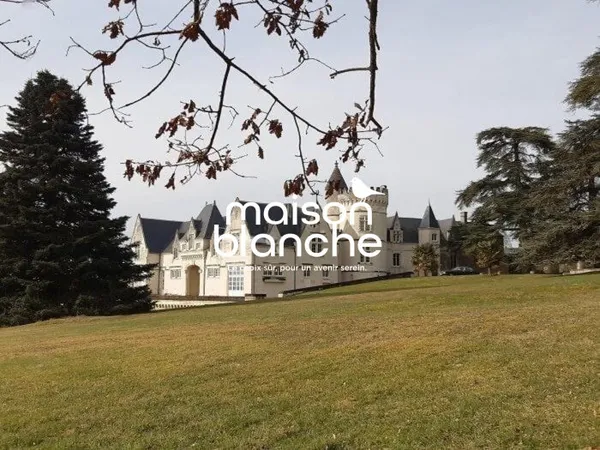 Vends château 