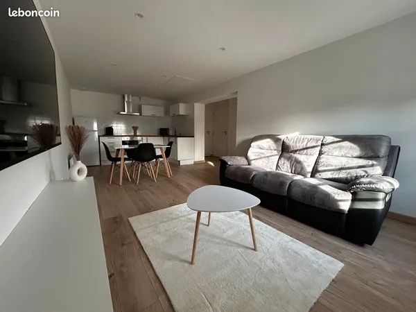 Appartement T2 meublé (44m²) hyper centre 