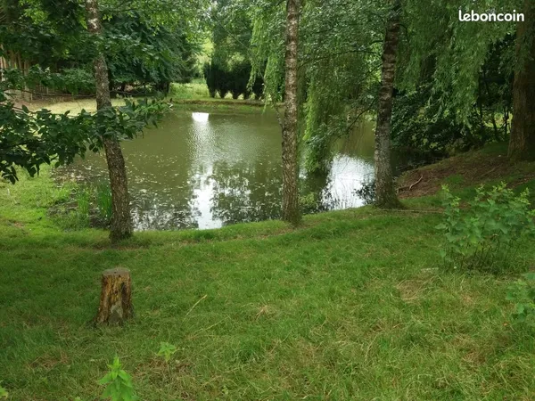 Terrain de loisirs avec petit etang 