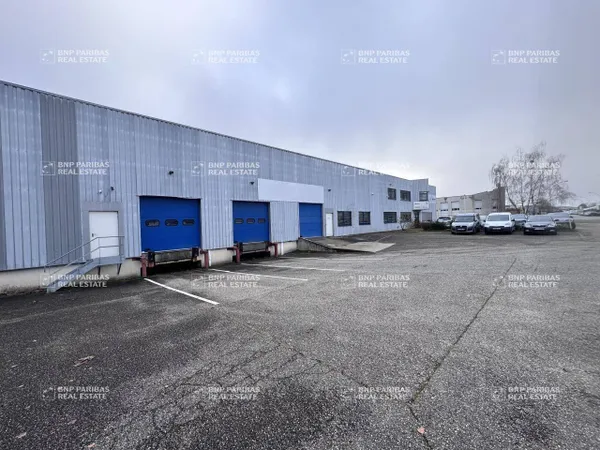 Local d'activité 446 m² 